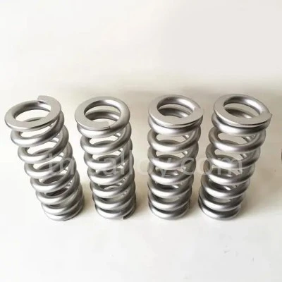 titanium spring suppliers titanium spring suppliers